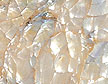 MotherPearl